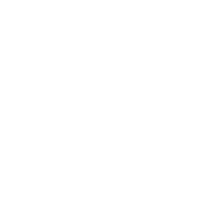 logo-bruns-gutzwiller