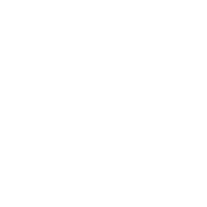 logo-schaefer