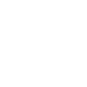 logo_danis